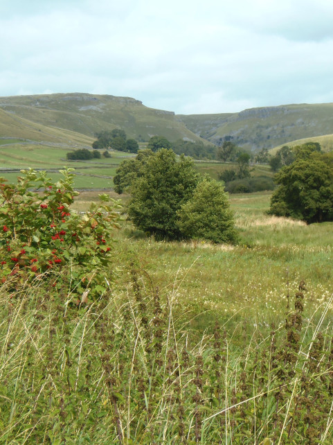 Keighley & Craven Branch Social - Malhamdale