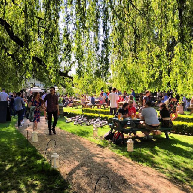 The Perch Beer Festival 