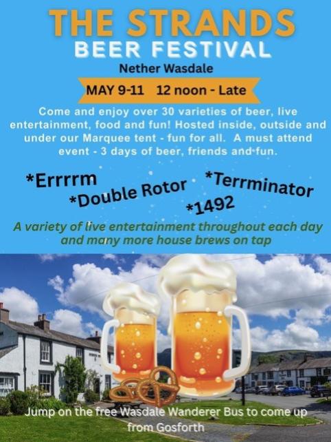 Tasting Panel Social - Strands Inn Beer Festival