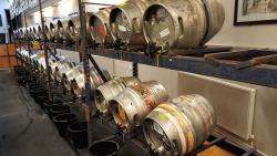 Photo from the Carmarthenshire CAMRA Real Ale & Cider Festival