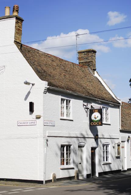 The Cock's Beer Festival