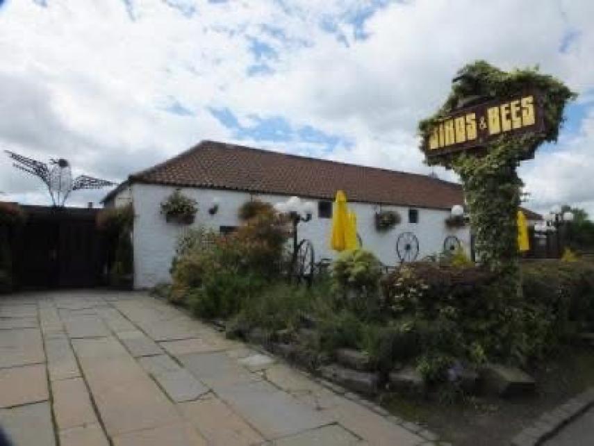 Forth Valley branch social: Wednesday Wanderers - Birds and Bees