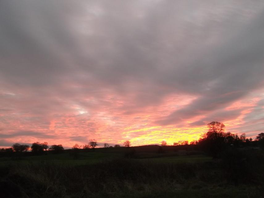 Harrogate and Ripon Branch Meeting – July 