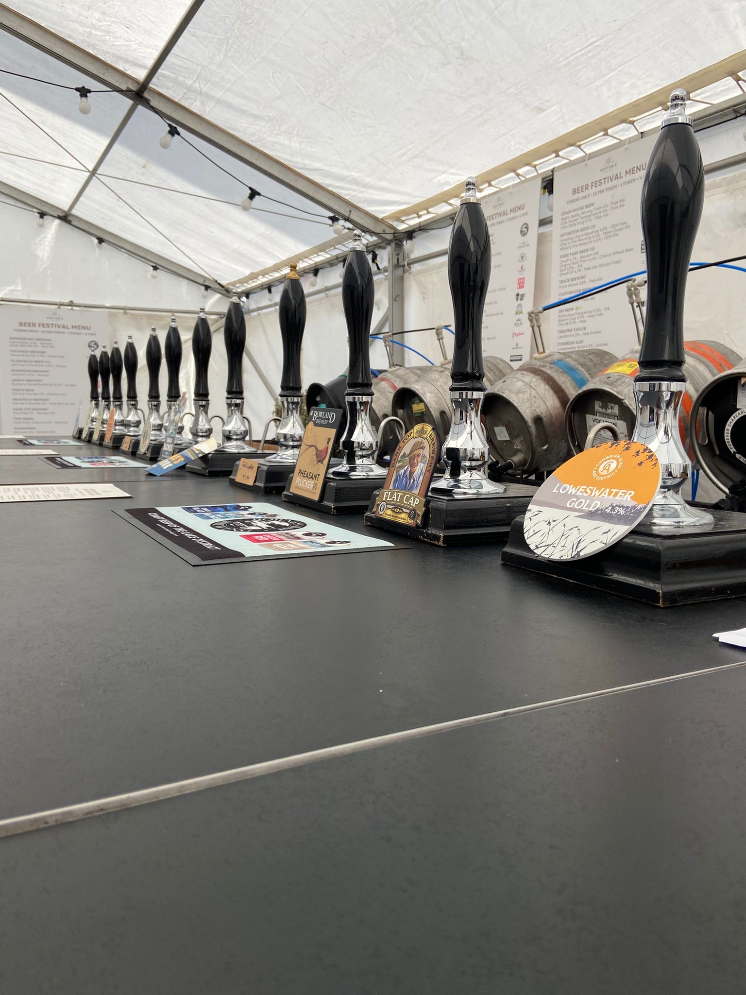 Photo from the Hoptons Beer Festival