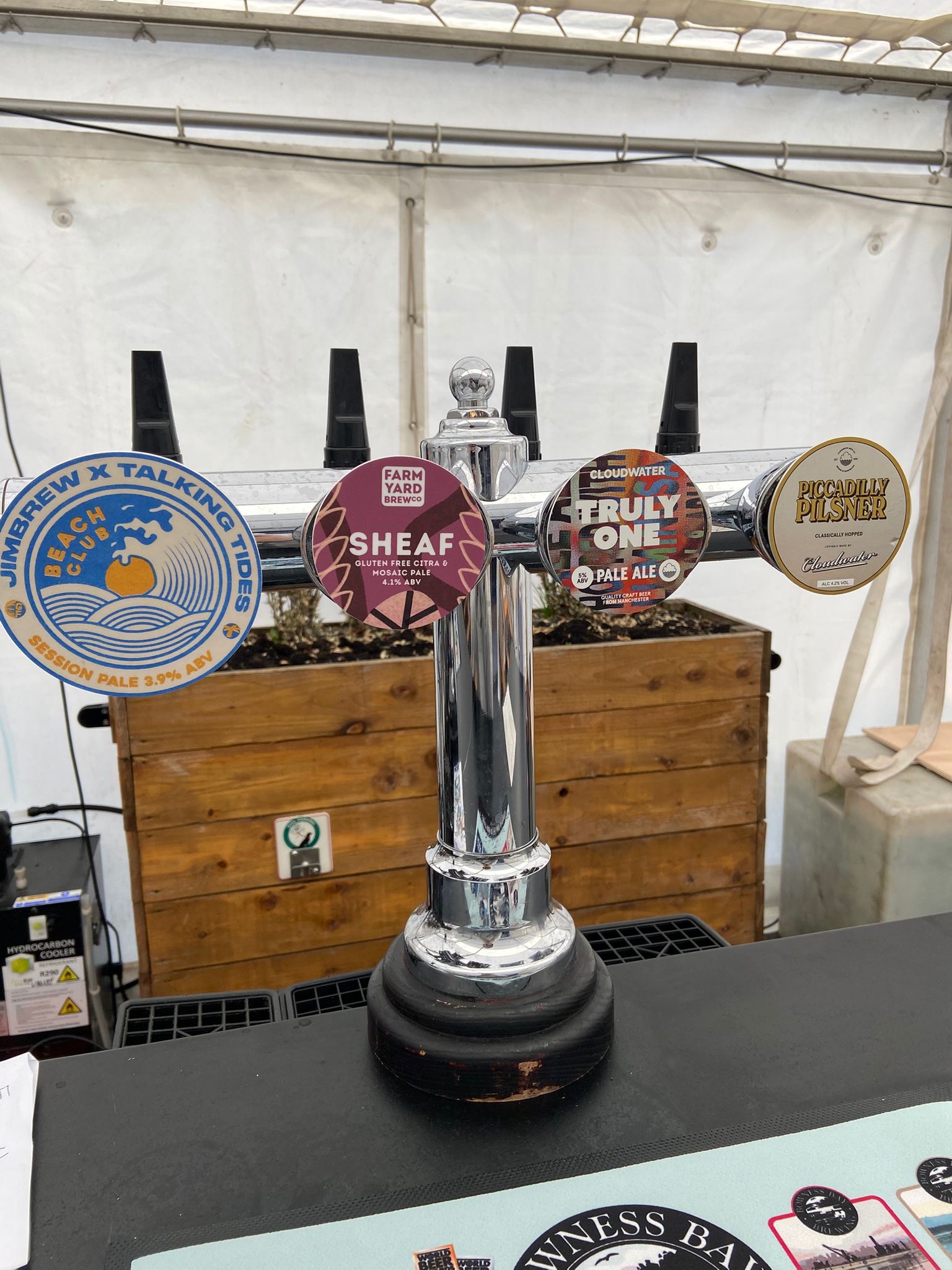 Photo from the Hoptons Beer Festival